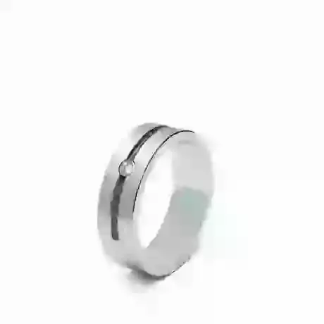 RS 007 Steel Ring